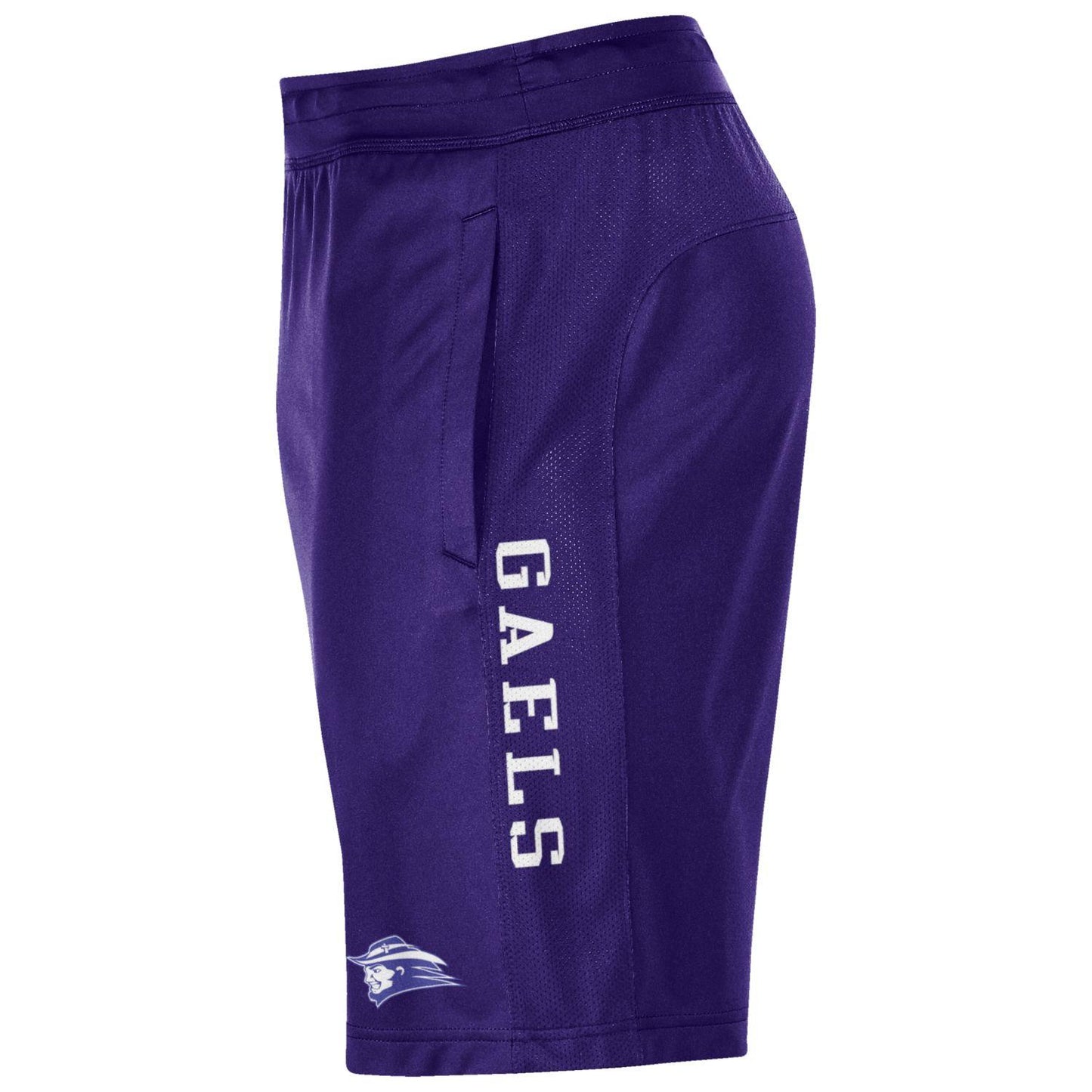 Shorts, Under Armour Raid 2.0 | Rhino Gray, Purple or Black