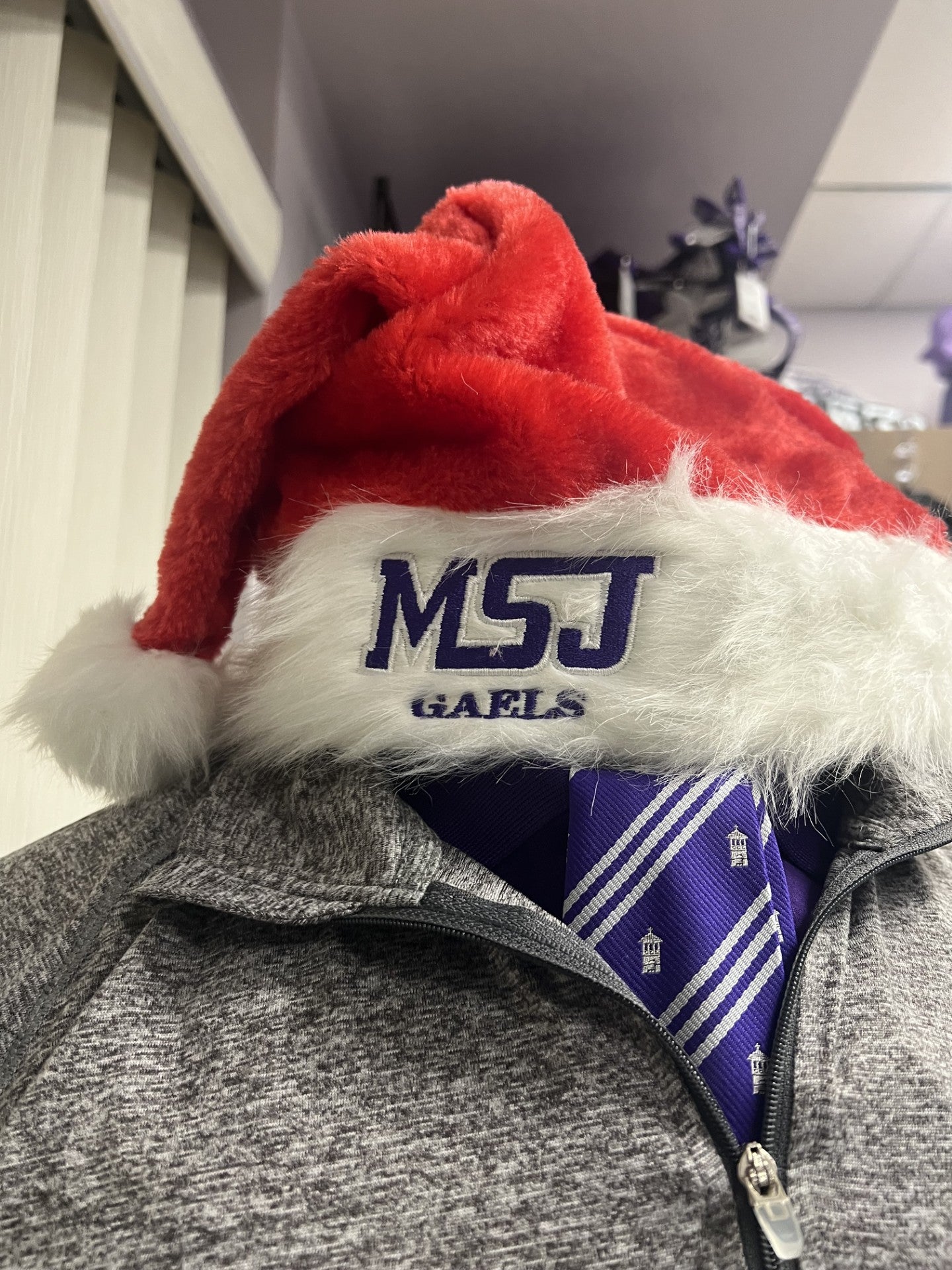 MSJ Santa Hat