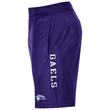 Load image into Gallery viewer, Shorts, Under Armour Raid 2.0 | Rhino Gray, Purple or Black